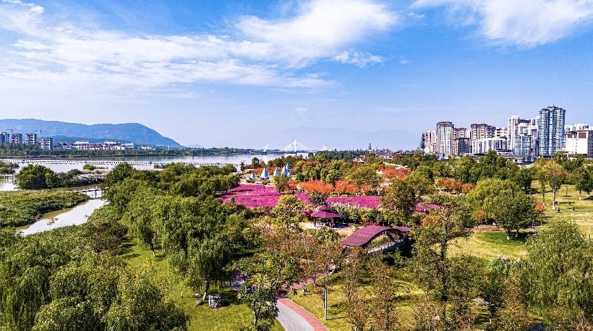 步入公園，仿佛走進“色彩的世界”。王淦攝（資料圖片）