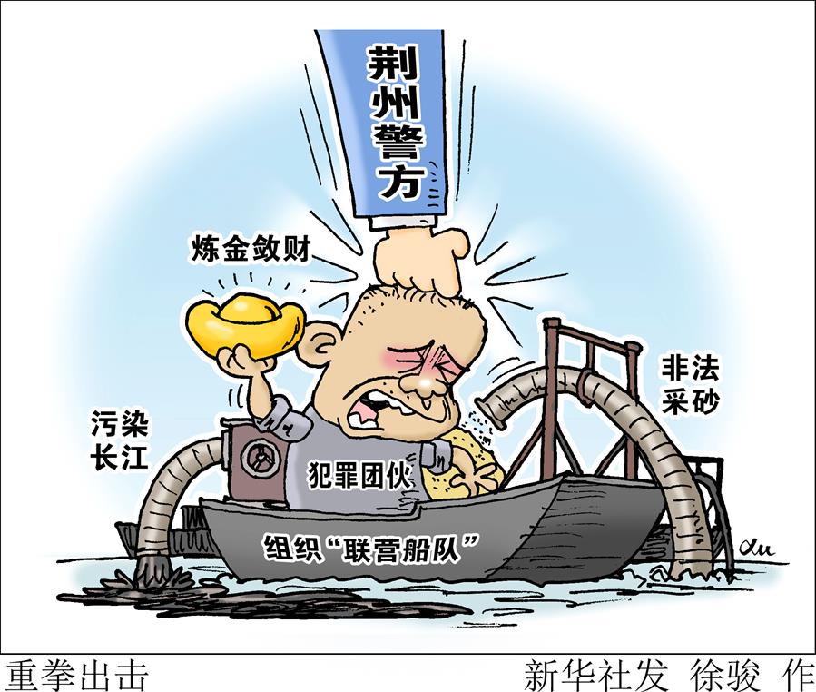 （圖表·漫畫）[新華視點(diǎn)]重拳出擊