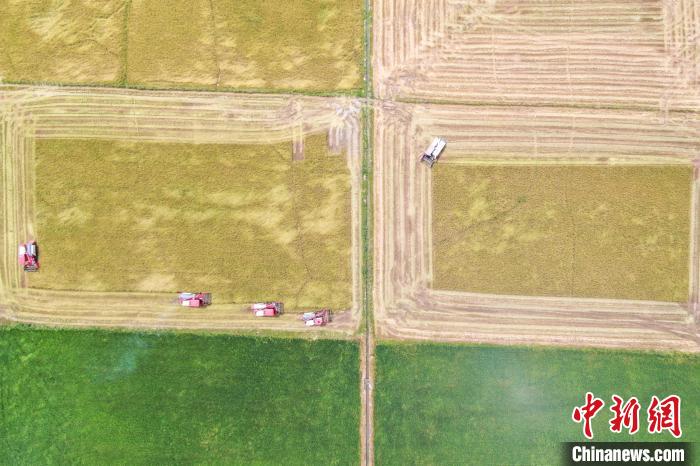 （高質量發(fā)展調研行）科技賦能“江南糧倉”農(nóng)業(yè)“智慧”轉型